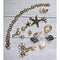 Jewelry Made by Me - Seashell Charm Bracelet Kit