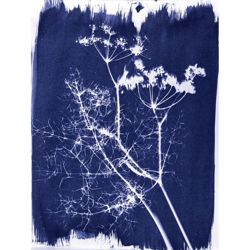 Jacquard Cyanotype Chemistry Set