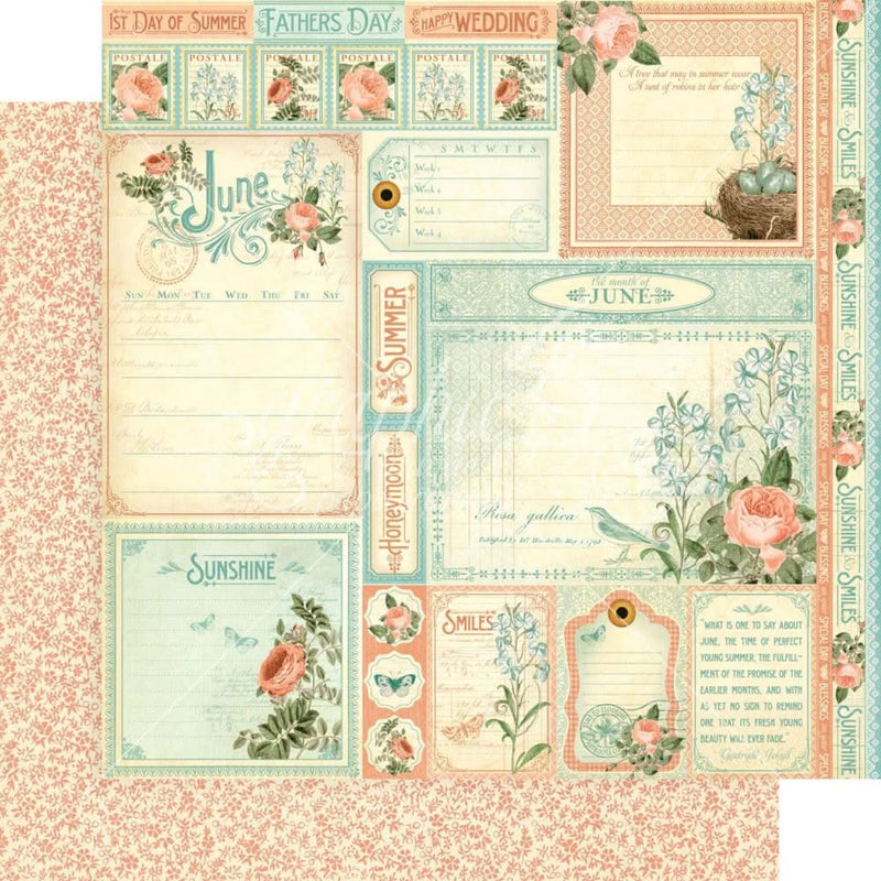 Graphic 45 Double-Sided Paper Pad 8"x8" 24/Pkg - Time To Flourish