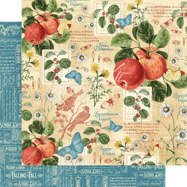 Graphic 45 Double-Sided Paper Pad 8"x8" 24/Pkg - Time To Flourish