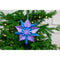 Gemini Dimensionals Papercraft Die Set - Snowflake Splendour*