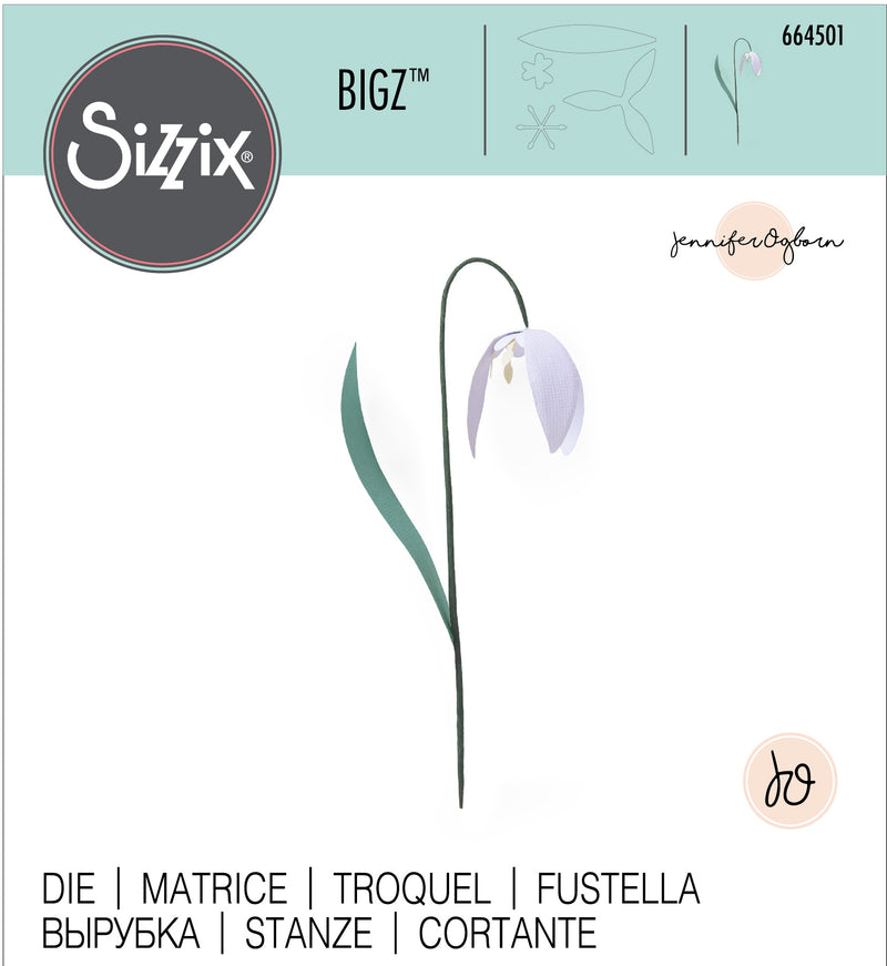 Sizzix Bigz Die By Jennifer Ogborn - Snowdrop*