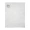 Darice Plastic Canvas 10 Count 10.5"X13.5"