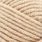 Premier Yarns Basix Chunky Yarn - Tan 100g