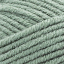Premier Yarns Basix Chunky Yarn - Sage 100g