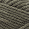Premier Yarns Basix Chunky Yarn - Lichen 100g