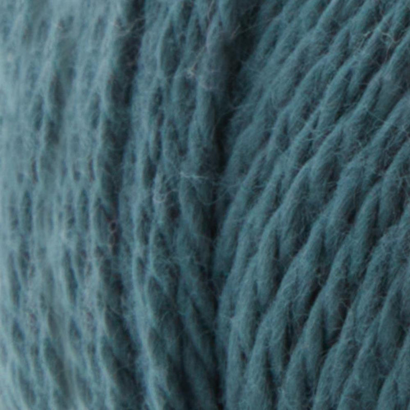 Premier Yarns Cotton Sprout Yarn - Hunter Green 100g