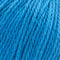Premier Yarns Cotton Sprout Yarn - Blue 100g