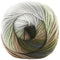 Premier Yarns Colourfusion DK Yarn - Autumn Sky 100g