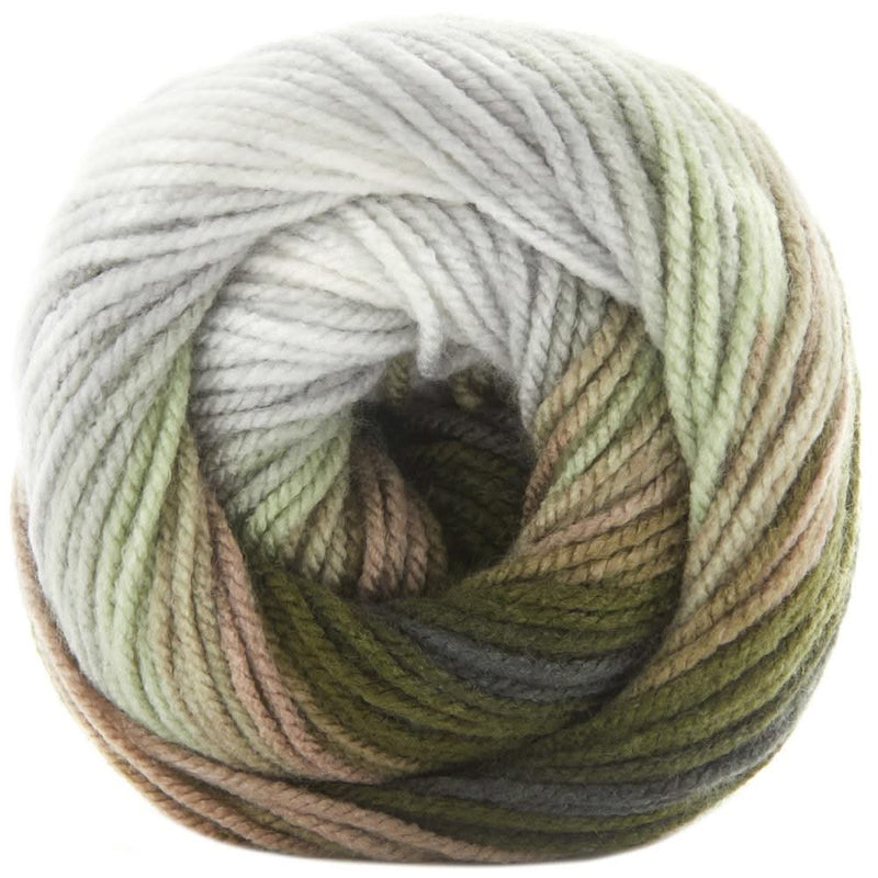 Premier Yarns Colourfusion DK Yarn - Woodland 100g