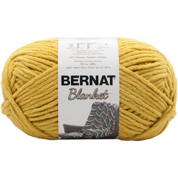 Bernat Blanket Big Ball Yarn - Moss - Coastal Collection 300g