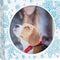 Stampendous Windowrama Card Kit - Winter*