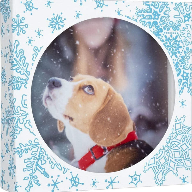 Stampendous Windowrama Card Kit - Winter*