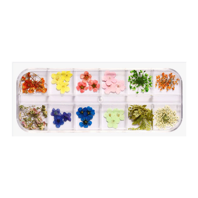 Poppy Crafts Dried Flowers Kit