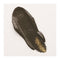 Cobra Artist Water Mixable Oil Colour  - 408 - Raw Umber 40ml