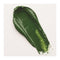 Cobra Artist Water Mixable Oil Colour  - 623 - Sap Green 40ml