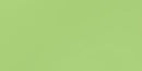 Bazzill Card Shoppe Heavyweight Cardstock 12"X12" - Spearmint Stick*