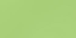 Bazzill Card Shoppe Heavyweight Cardstock 12"X12" - Spearmint Stick*
