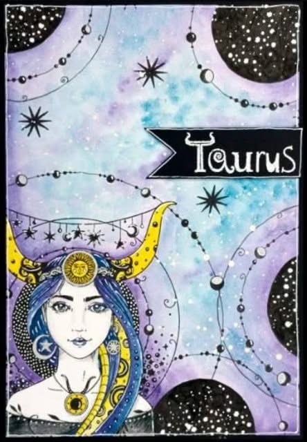 Pink Ink Designs 6"X8" Clear Stamp Set Taurus Secret Romantic*