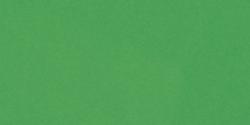 Bazzill Smoothies Cardstock 12"X12" - Green Apple/Smoothies*