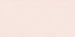 Bazzill Fourz Cardstock 12in x 12in - Tutu Pink/Grasscloth*