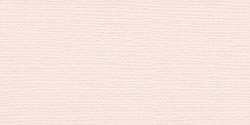 Bazzill Fourz Cardstock 12in x 12in - Tutu Pink/Grasscloth