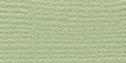 Bazzill Fourz Cardstock 12in x 12in - Spring Breeze/Grasscloth*