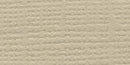 Bazzill Fourz Cardstock 12in x 12in - Quick Sand/Grasscloth*