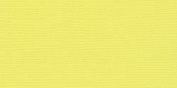 Bazzill Fourz Cardstock 12"X12" - Pollen/Grasscloth*