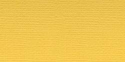 Bazzill Fourz Cardstock 12"X12" - African Daisy/Grasscloth*