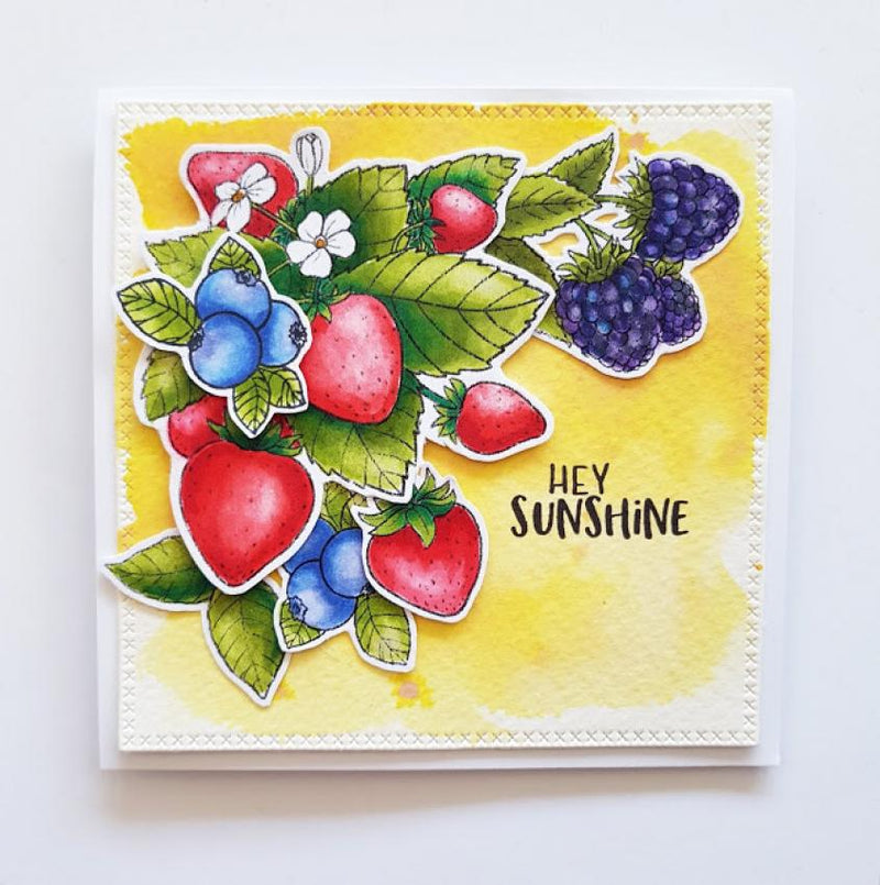 Jane's Doodles Clear Stamps 4"x6" - Berries*