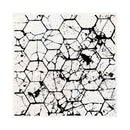 Poppy Crafts Clear Stamps