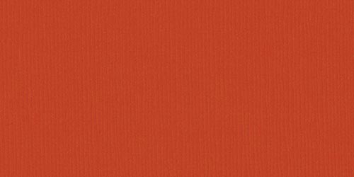 Bazzill Fourz Cardstock 12in x 12in - Pumpkin Patch/Grasscloth*