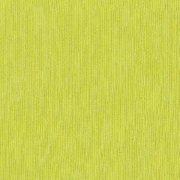 Bazzill Fourz Cardstock 12"X12" - Granny Smith/Grasscloth*