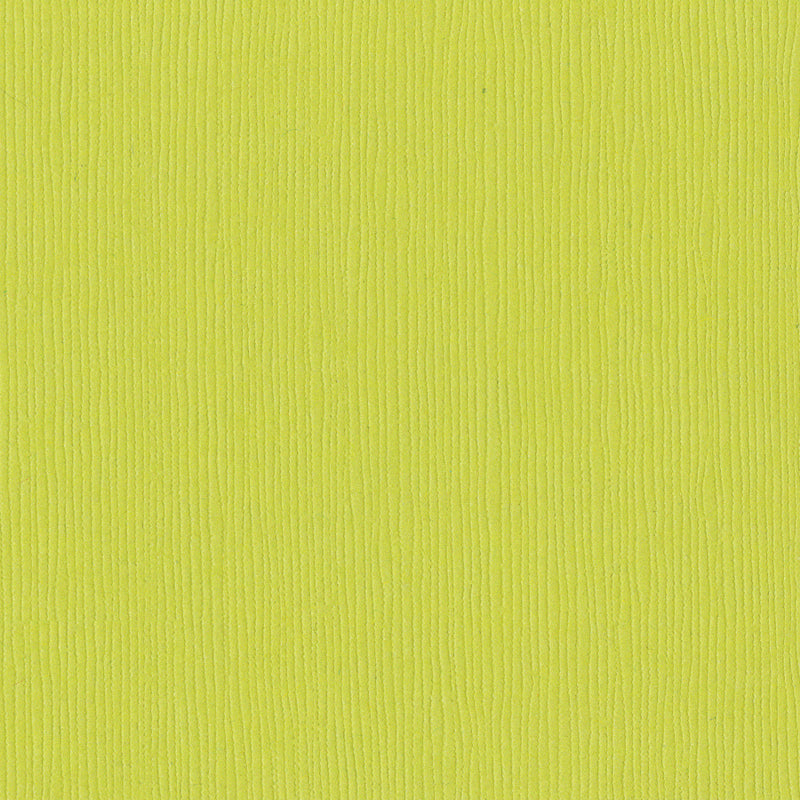 Bazzill Fourz Cardstock 12"X12" - Granny Smith/Grasscloth*