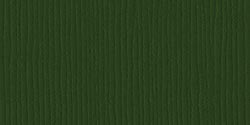 Bazzill Fourz Cardstock 12in x 12in - Avocado/Grasscloth