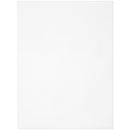 Cousin Perforated Plastic Canvas 14 Count 8.5"X11" 2 pack - White*