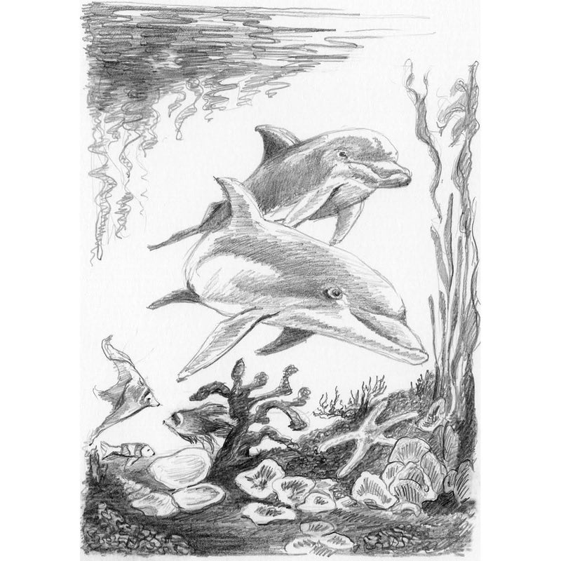 Sketching Made Easy Kit 5"X7" Dolphins*