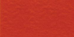 Bazzill Fourz Cardstock 12in x 12in - Classic Orange/Grasscloth*