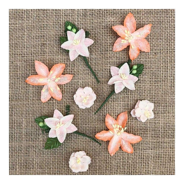 49 And Market Stargazers Paper Flowers 9 pack Peach Sorbet