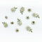 49 And Market Florets Paper Flowers - Celery*