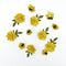 49 And Market Florets Paper Flowers - Canary*