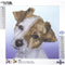 Leisure Arts Diamond Art Intermediate Kit 12 inch X12 inch Puppy
