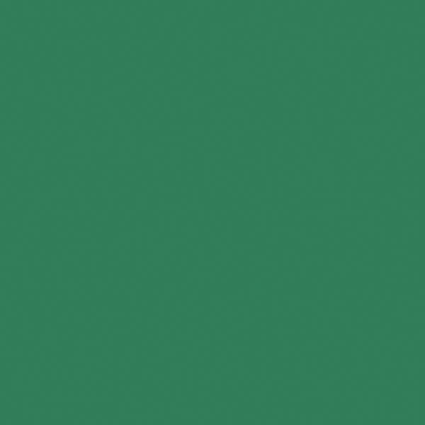 Bazzill Card Shoppe Heavyweight Cardstock 12"X12" - Evergreen