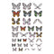 Tim Holtz - Idea-Ology Transparent Acetate Wings 72 pack*