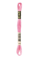 DMC Stranded Cotton 8m - 604*