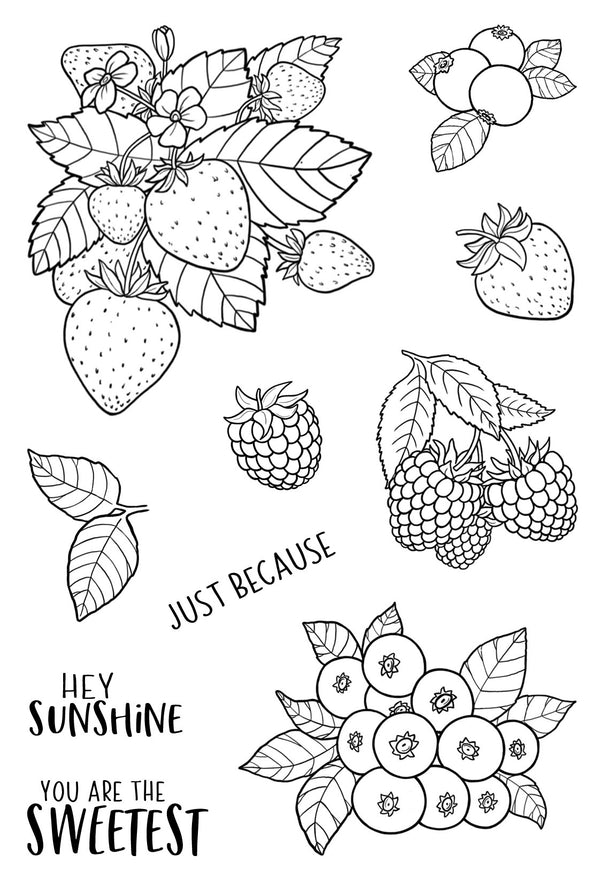 Jane's Doodles Clear Stamps 4"x6" - Berries