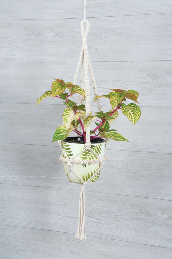 Macrame Hanging Kit - Large Beaded Plant Hanger*