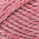 Lion Brand Wool-Ease Thick & Quick Yarn - Potion