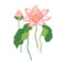 Sizzix Thinlits Die Set 16PK - Layered Water Flower by Lisa Jones*